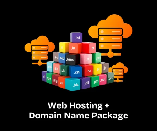 Web Hosting + Domain Package